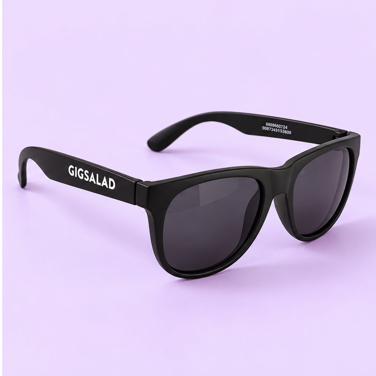Wayfarer Sunglasses